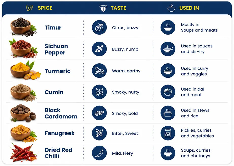 Indian spice infographic comparing Timur, Sichuan pepper, turmeric, cumin, black cardamom, fenugreek, and dried red chilli by taste and use.